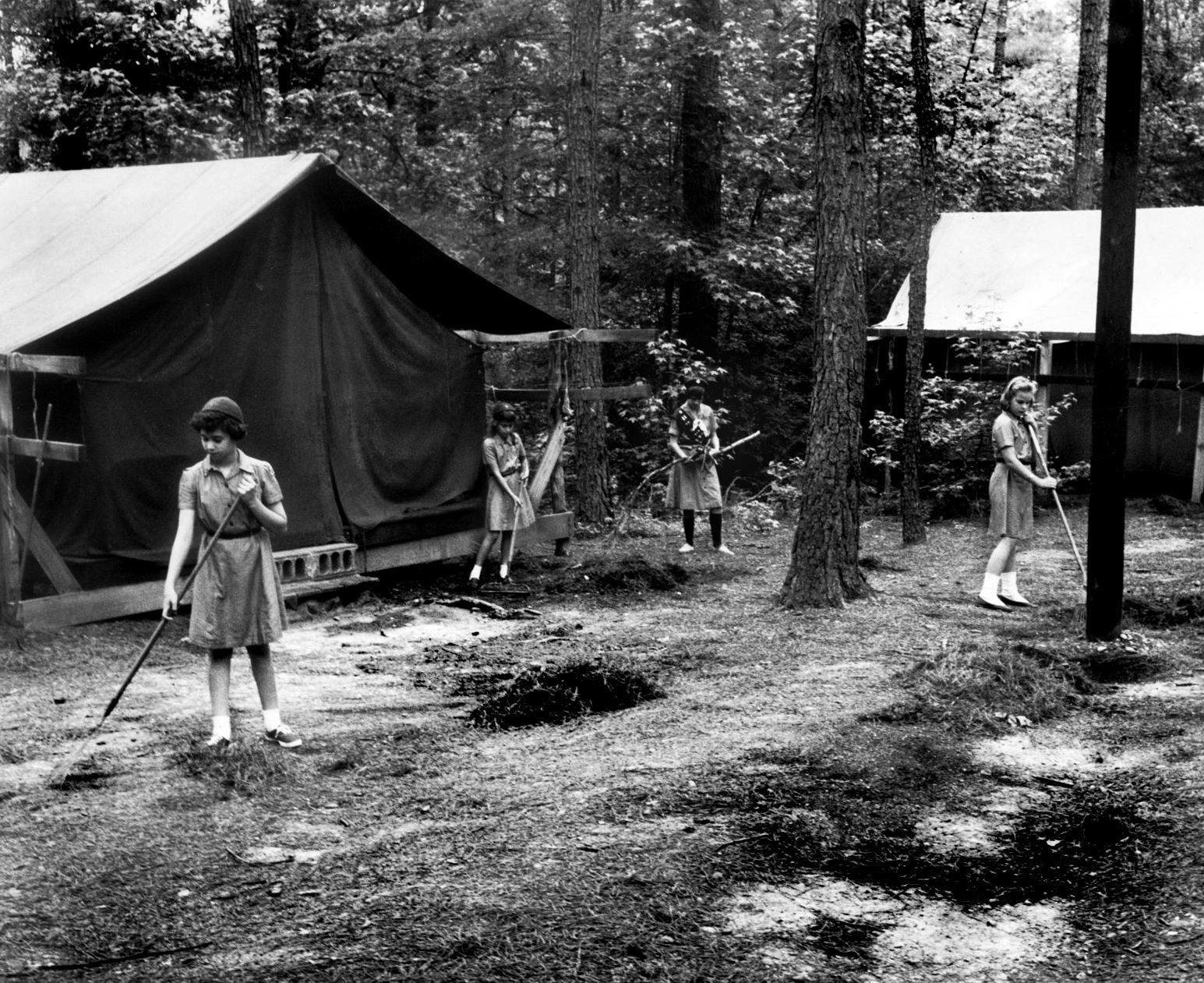 Camp